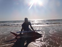 Hammerhead Mafia  - Eddie Collins