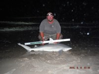 Team Southern Sharkers - Donnie Tidwell