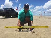 El Pescador - Tomas Barriga