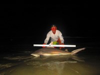 Keep It Reel - Ron Richmond