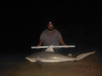 Team Southern Sharkers - Eduardo Mejia