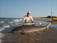 CatchSharks - Matt Hyde