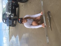 South Texas Shark Wranglers  - Emily Quinn