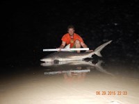 CatchSharks - Nick Williamson