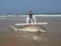 Team Rockstar - Brad Tabor