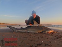 Team Rockstar - Eric Ozolins