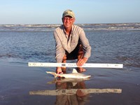 Sharkaholics - David Crain