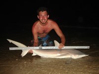 Sharkaholics - Zach Crain