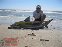 Team Rockstar - Scott Nelson