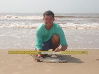 Sharkaholics - Zach Crain