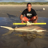 Controlled Chaos - Rey Contreras