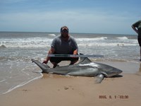 Team Southern Sharkers - Donnie Tidwell