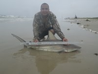 Reel Loco - Richard Garza