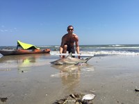 Aardsharks - Nate Schueller