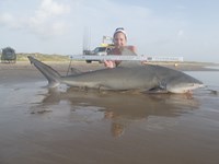 Team Sharkathon - Bethany Lyn