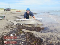 Team Rockstar - Eric Ozolins