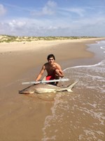 Hammerhead Mafia  - rolland hyatt