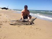 Hammerhead Mafia  - Cole  benesh