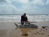 Team Southern Sharkers - David Tidwell