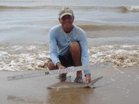 Sharkaholics - David Crain