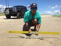 El Pescador - Tomas Barriga