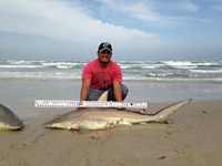 Hookem Deep - Micky Mechell