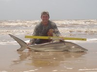 Sharkaholics - Zach Crain