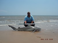 Team Southern Sharkers - Donnie Tidwell
