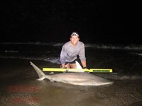 Team Rockstar - Dani Zirkel