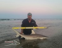 Down South Hook Setters - raul hernandez