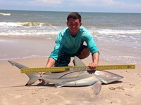 Sharkaholics - Zach Crain