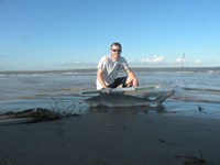 CatchSharks - Matt Hyde