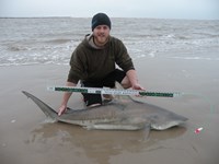 CatchSharks - Matt Hyde