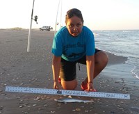 Southern Shark  Outcasts  - Cristina  Garza 