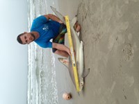 Tx Connection - Robert Barnes