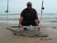 Team Southern Sharkers - Donnie Tidwell