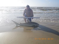 Reel Loco - Eric Hernandez