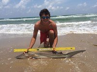 Hammerhead Mafia  - rolland hyatt