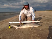 Morton saltwater fishing - Robert Morton