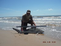 Team Southern Sharkers - David Tidwell