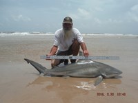 Team Southern Sharkers - David Tidwell