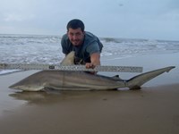 Sharkaholics - Zach Crain