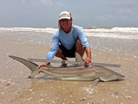 Sharkaholics - David Crain