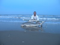 CatchSharks - Steven Kennedy