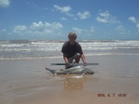 Team Southern Sharkers - Nick Johnson