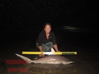 Team Rockstar - Dani Zirkel