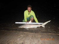 CatchSharks - Nick Williamson