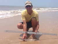 Sharkaholics - David Crain