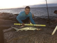 JETTYMAFIA  - Jose  Martinez 