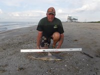 Stacking Gills - David  Counahan